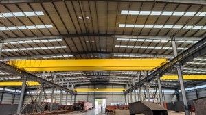 Models multiples 50 Ton Overhead Crane