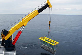 Grue de plate-forme marine à télécommande de boom d'articulation 10ton adaptée aux besoins du client