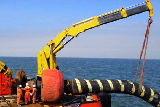 Grue de plate-forme marine à télécommande de boom d'articulation 10ton adaptée aux besoins du client
